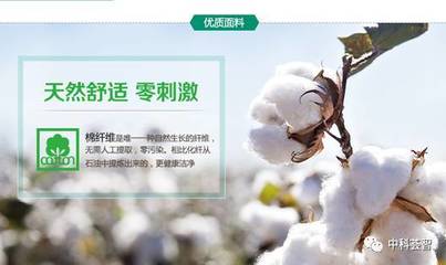 一朵棉花，一個(gè)國(guó)牌 醫(yī)用敷料OEM的國(guó)民品牌轉(zhuǎn)型與資本之路